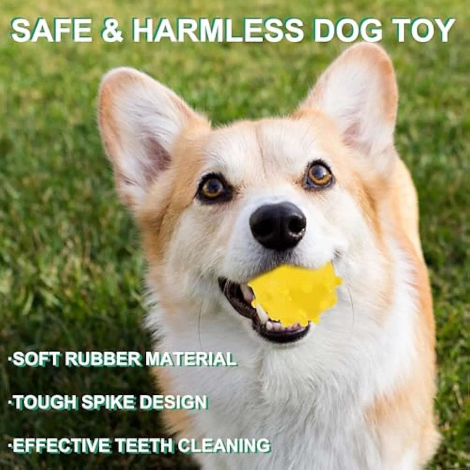 Four brightly coloured spiky dog toy balls with paw-print dimples, shown next to a small dog.