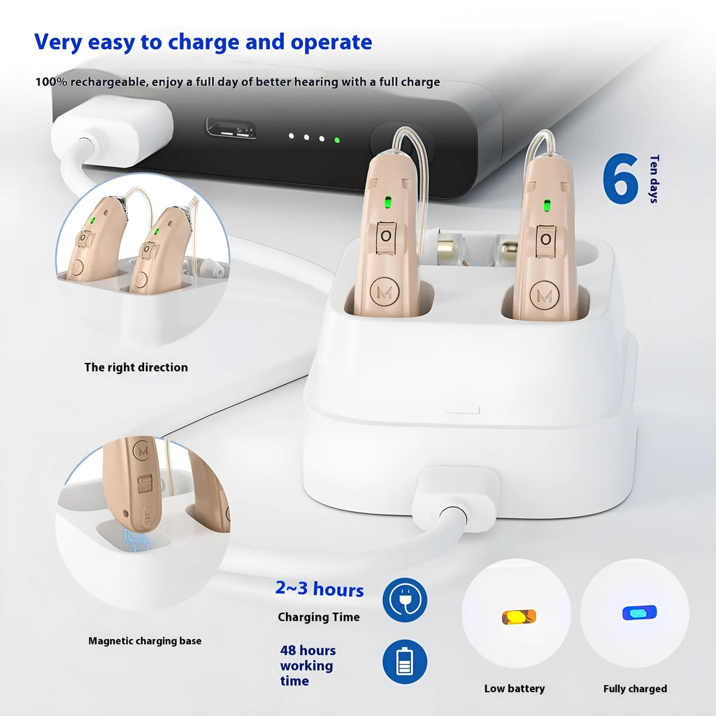 Hearing aid for elderly in silver with USB charging port and noise reduction feature