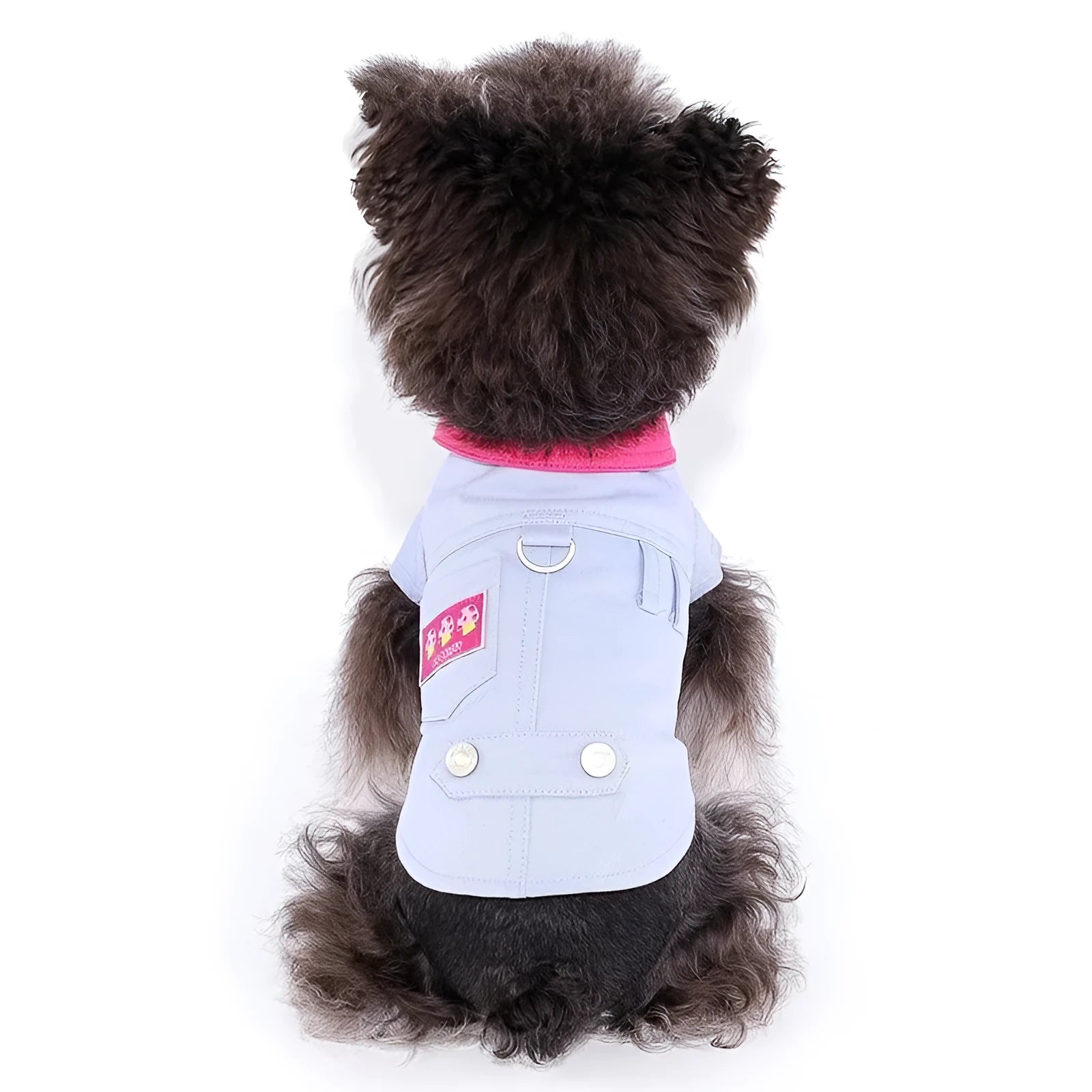 Blue and purple polyester dog vest with traction rope ring for small breeds in summer