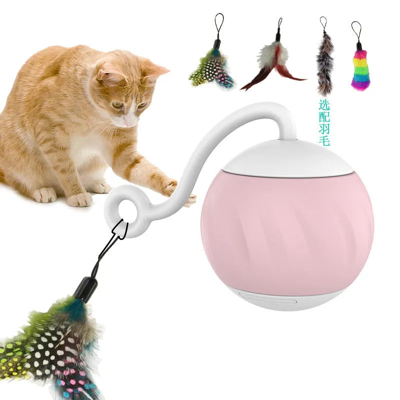 Electric cat toy with luminous ball in watermelon or pumpkin colour design