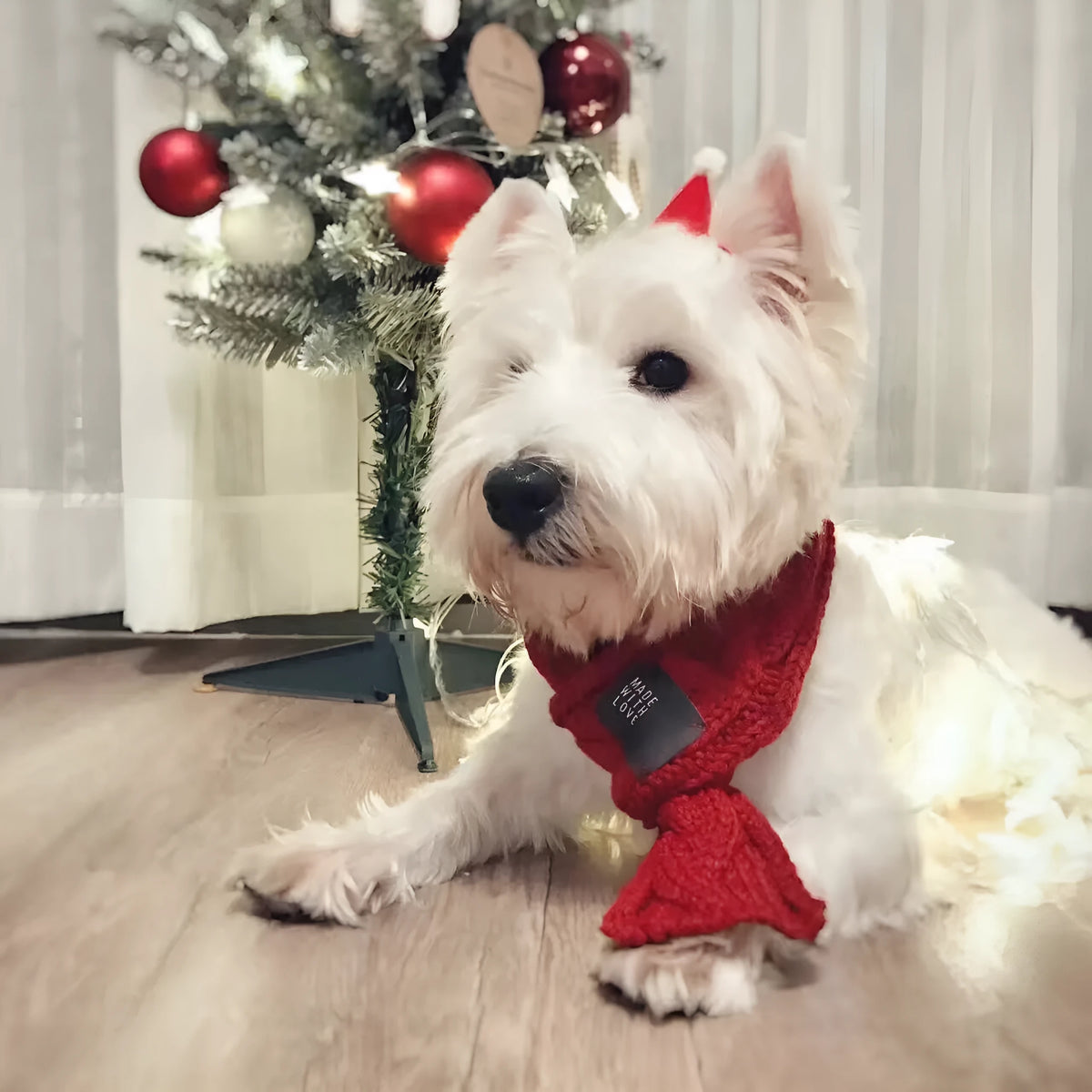 Wool pet scarf with bow tie for small dogs, puppies, cats and chihuahuas in green or red, sizes S and L