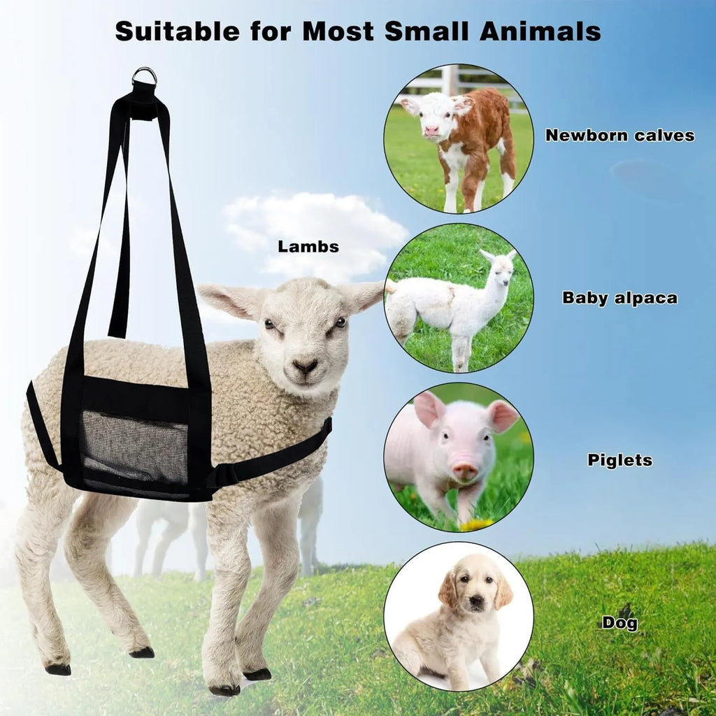 Black polyester calf weighing sling measuring 35cm by 150cm with reinforced handling points