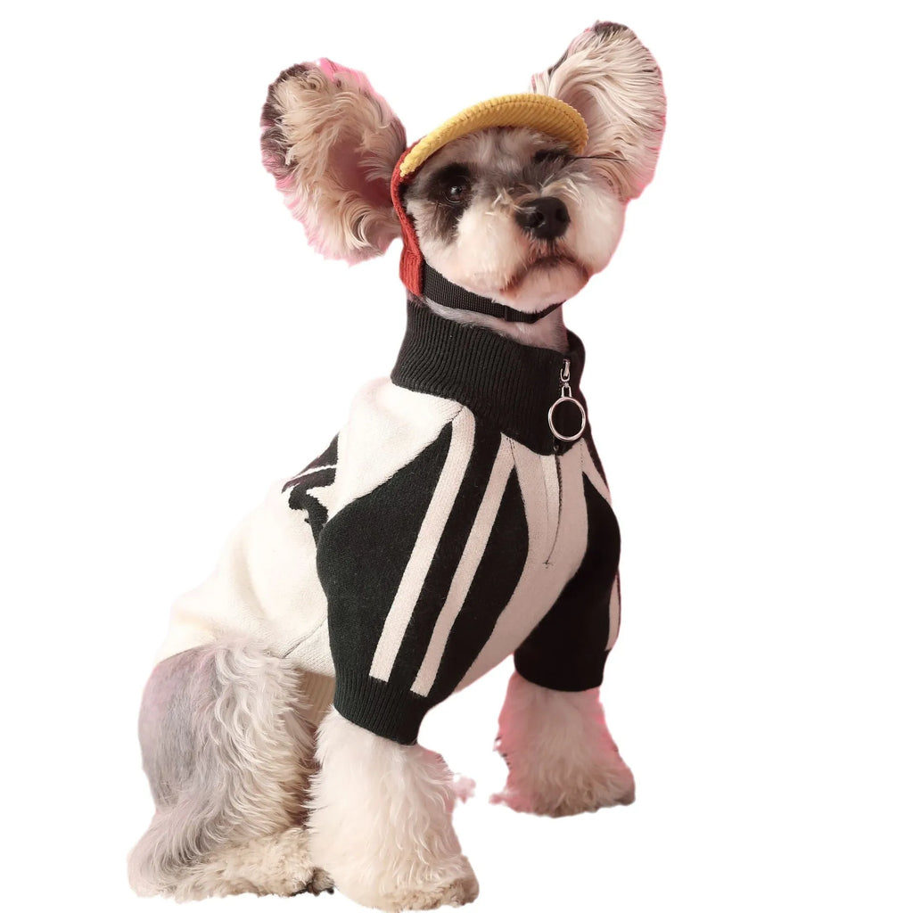 Men's dog sports sweater cardigan in wool for puppies, available in dark green or red