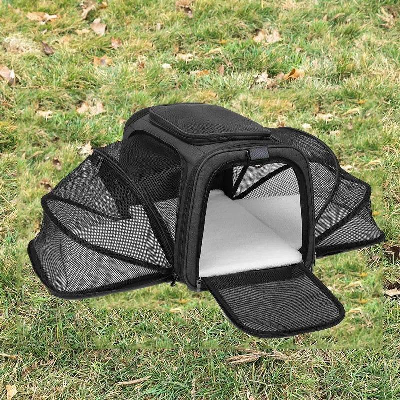 600D cation fabric cat carrier bag in black with red piping, showing medium-soft construction and large capacity design