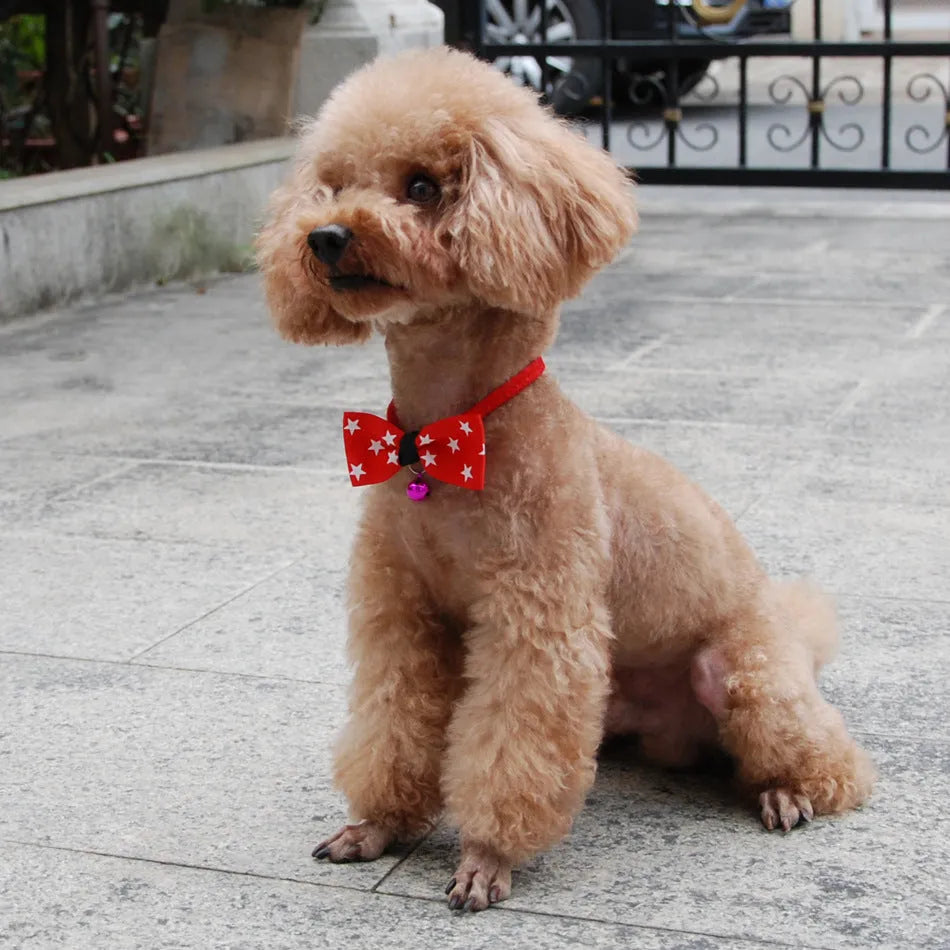 Pet bow tie with copper bell and adjustable neck band, polyester fabric, for dogs and cats, up to 56 cm