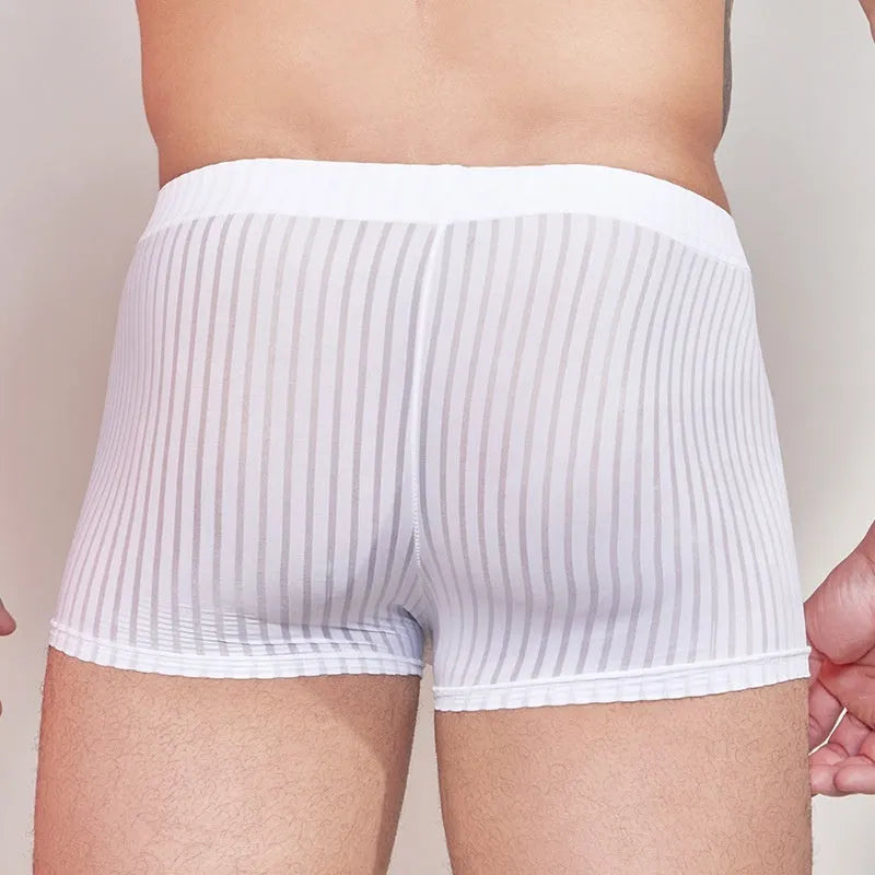 Men's striped underwear in thin nylon fabric showing transparent design in black, white and dark grey colours
