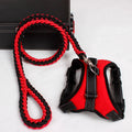 Dog leash chest strap in black with strong nylon material and breathable mesh padding