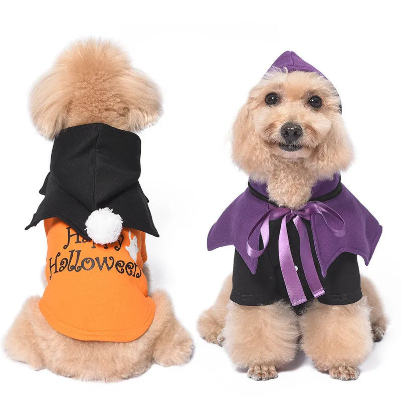 Halloween pumpkin dog costume with black and orange two-piece sweater and shawl