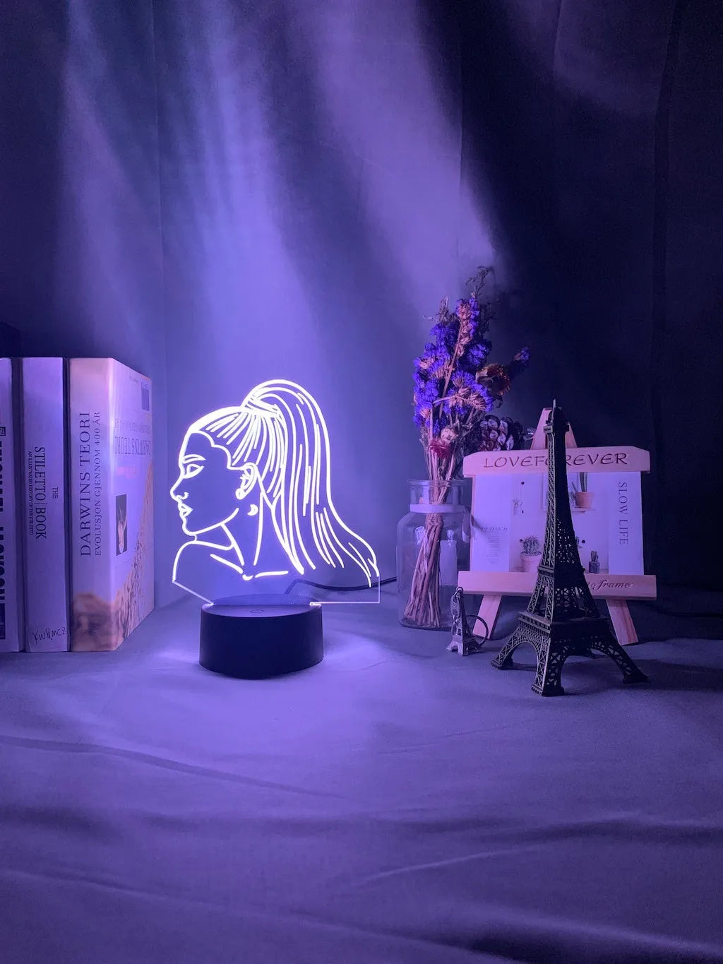 Acrylic 3D night light with European design showing dimensional effects and colour illumination