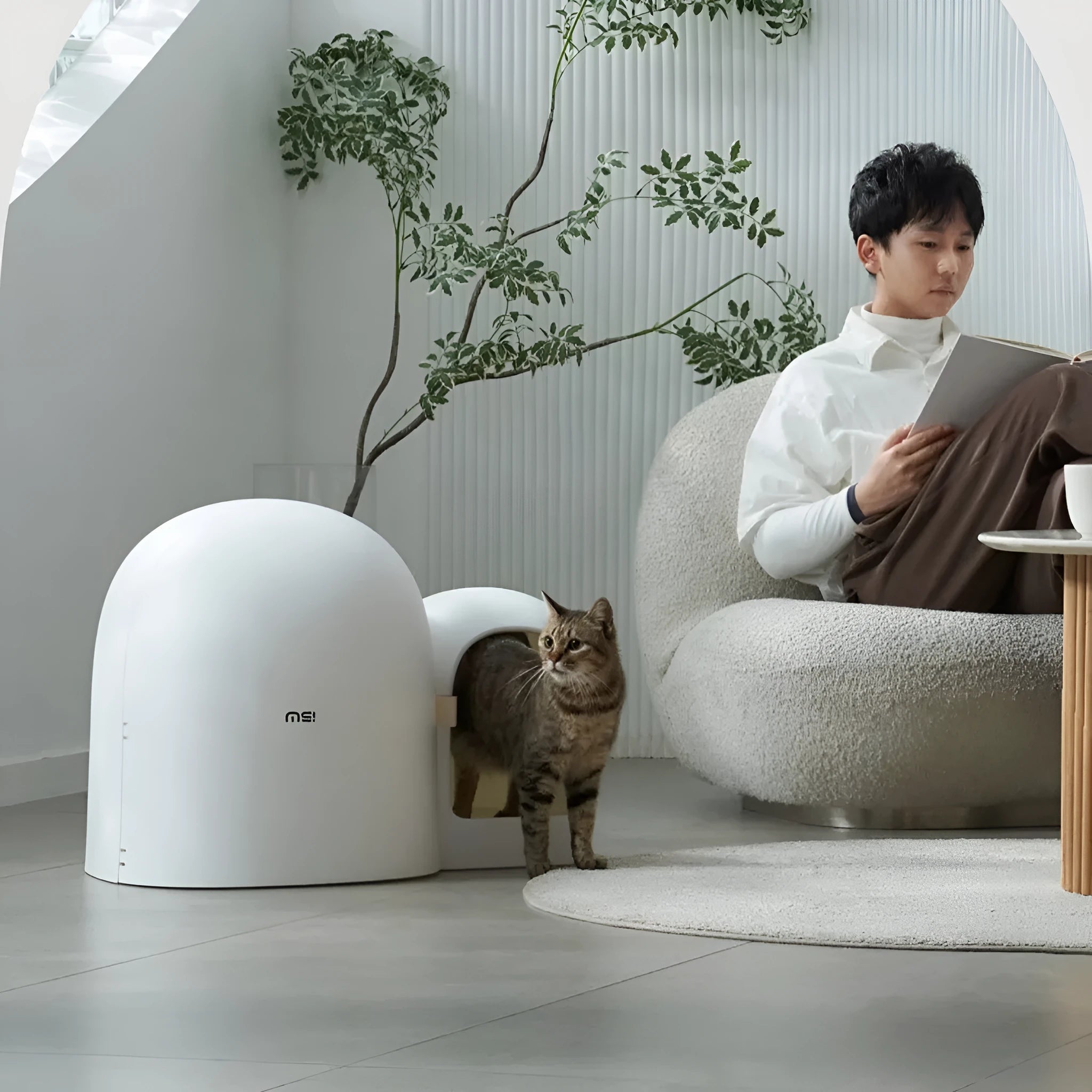Fully enclosed cat litter box in ABS plastic with dimensions 67.7cm x 49cm x 50cm shown in moss green colour