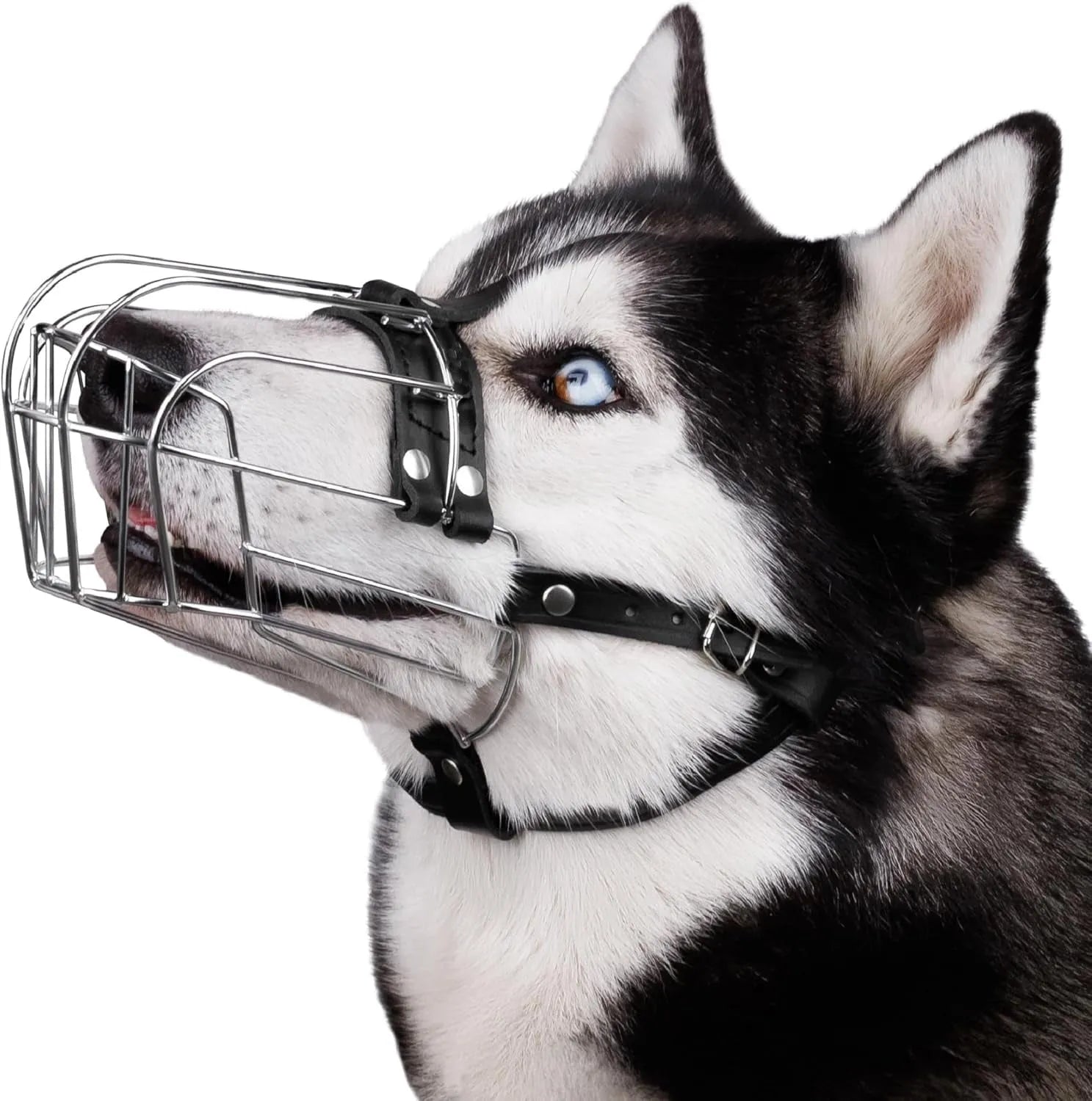 Black metal dog muzzle designed specifically for golden retriever and German shepherd breeds
