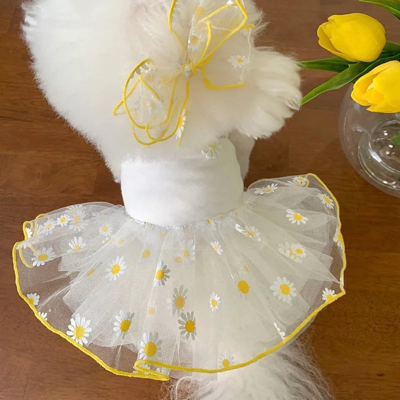 Yellow daisy print dog clothes on pet with lightweight polyester summer outfit