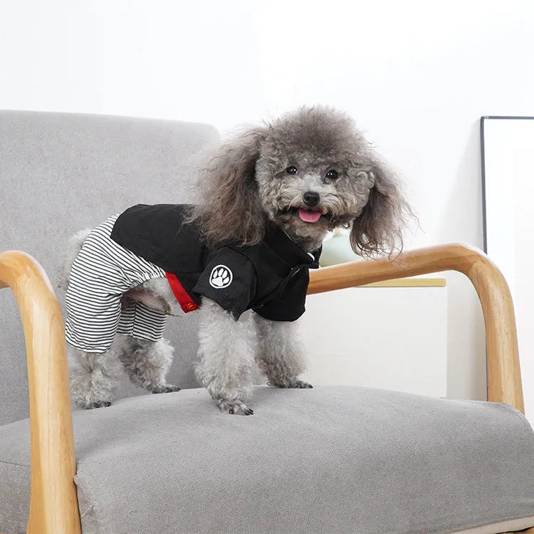 Cotton poodle dog clothes in skirt and four-foot pants styles for spring and summer