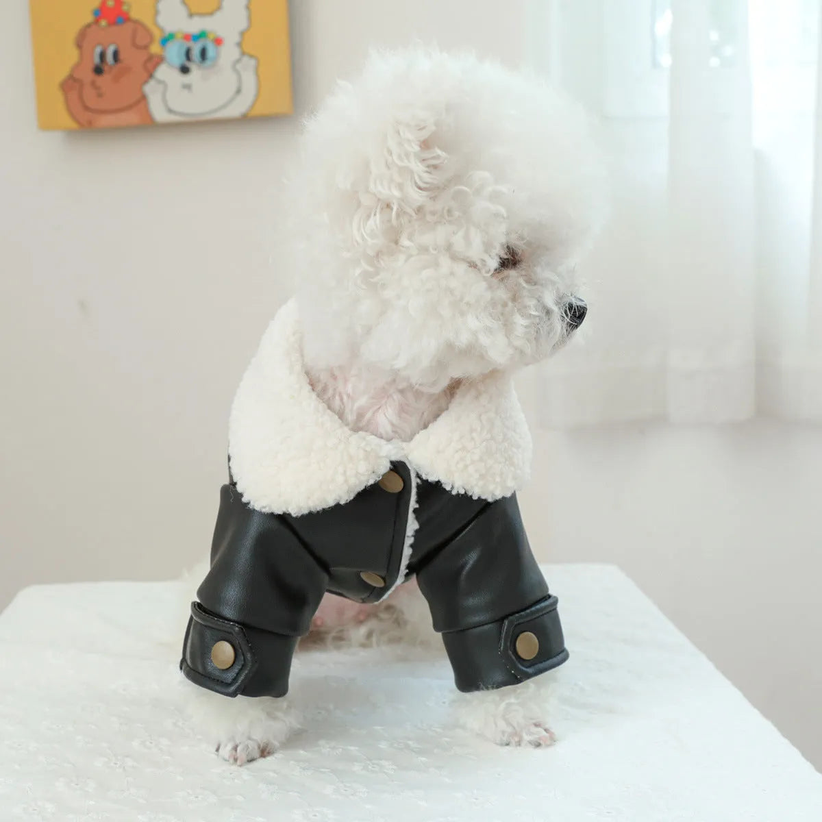 Fleece lined padded dog coat in beige on a small dog, showing polyester outer and secure chest fastening