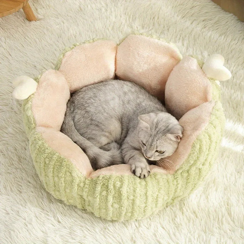 Green or purple cactus-designed soft cat litter kennel showing large and small size options