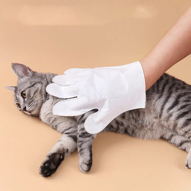 Disposable pet cleaning gloves with gentle formula for dogs and cats