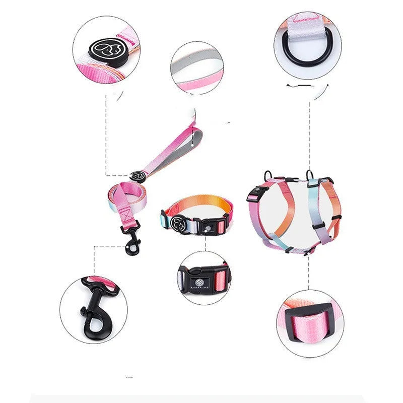 Gradient colour pet chest harness with adjustable straps in sizes S, M, L for dogs and cats