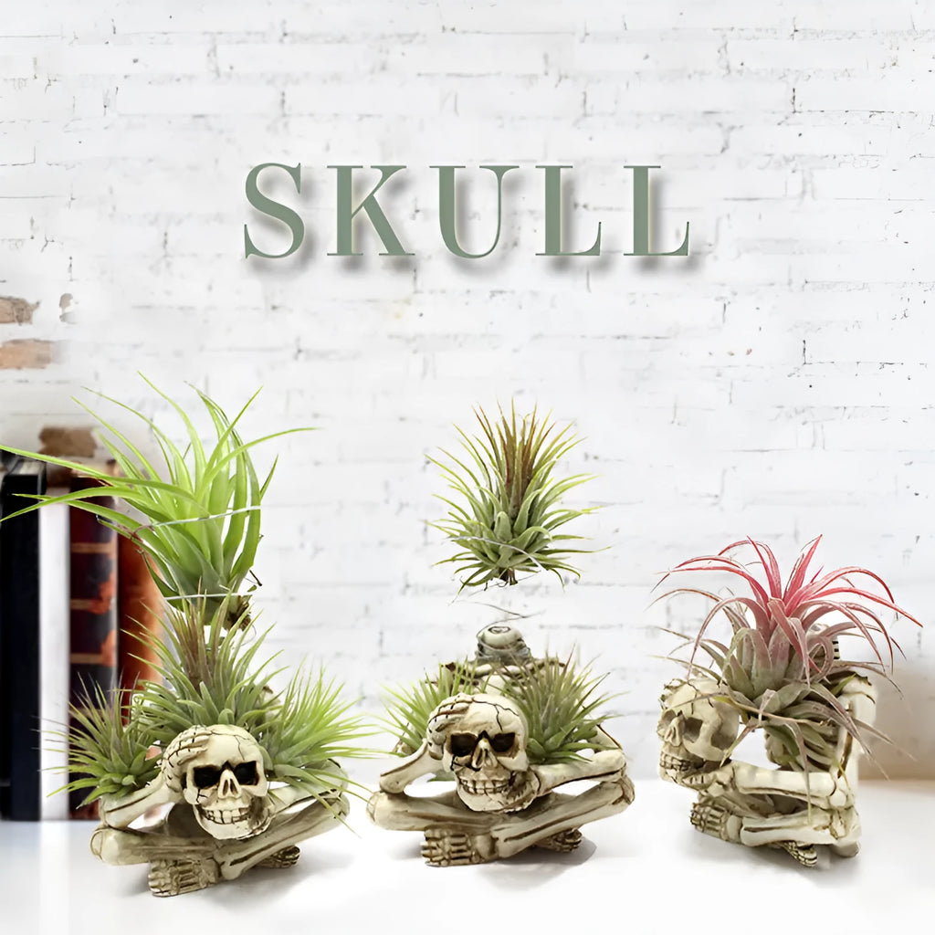 Gothic skull resin Tillandsia bracket measuring 7×8×12.5cm with soilless plant display