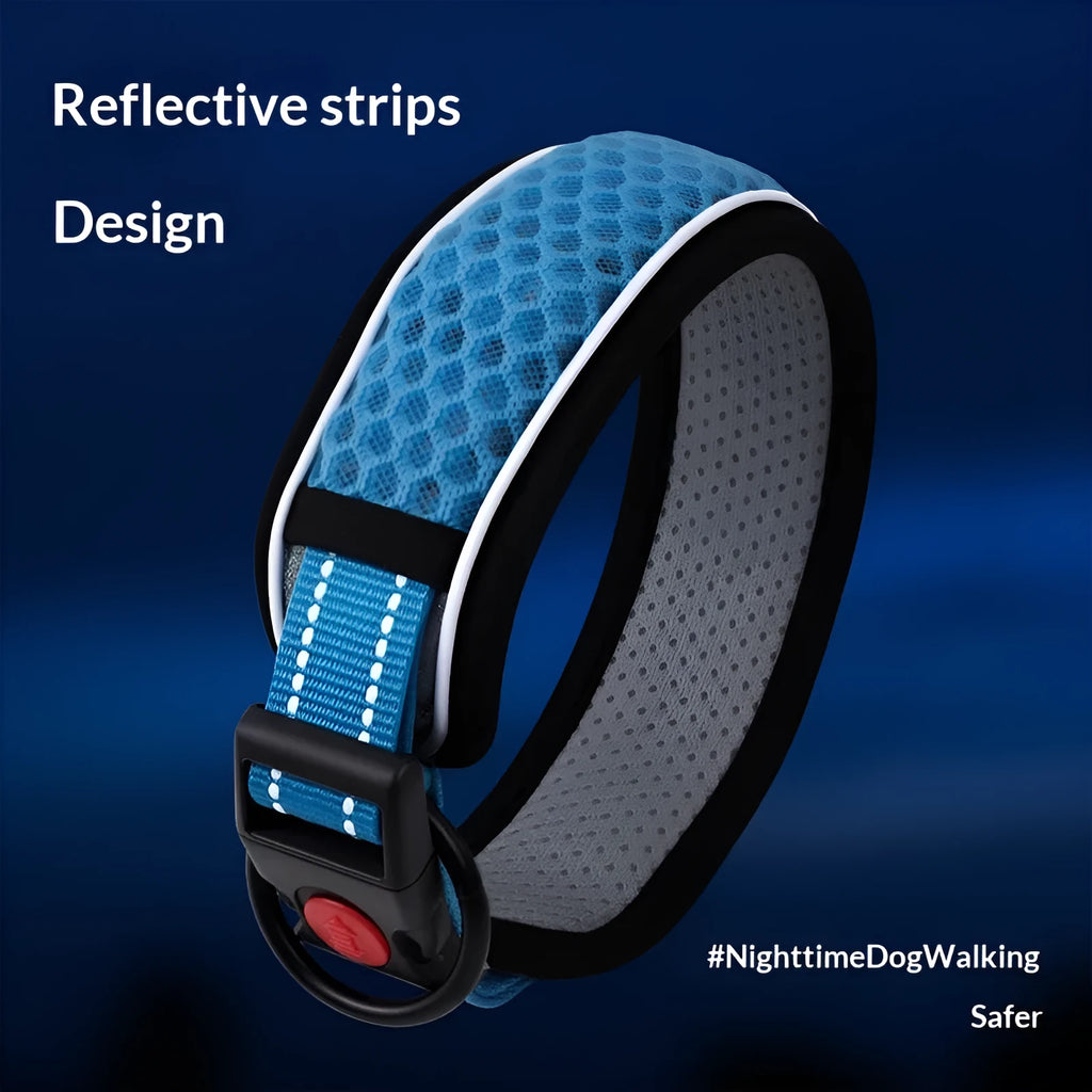Acrylic pet collar with colour grid pattern in orange, blue or red, available in sizes XS to L for neck 28-58cm