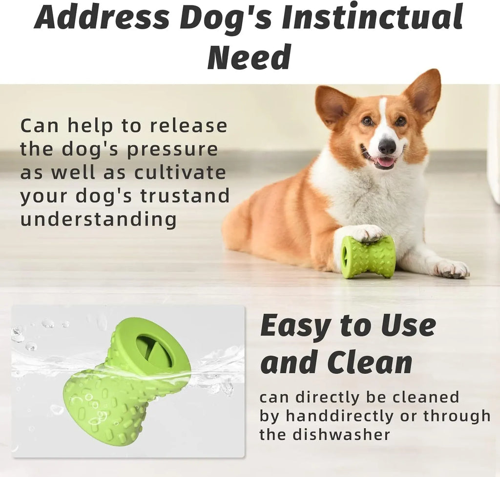 Interactive bone-shaped dog toy with treat dispensing holes in blue, green and purple colours