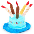 Blue and pink birthday hat for dogs on a white background.