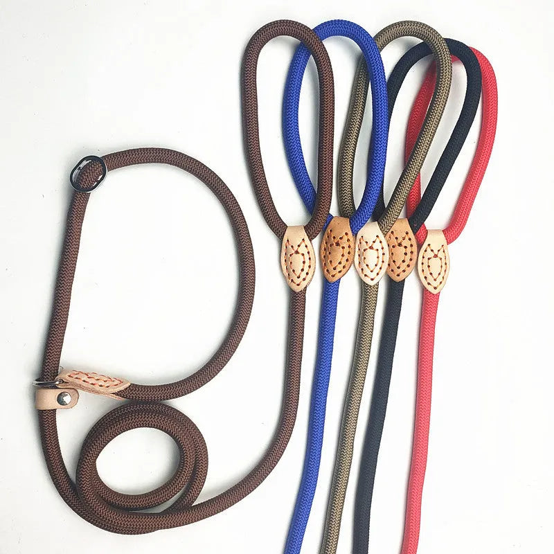Blast race training dog leash with automatic tightening rope collar in multiple colour options.