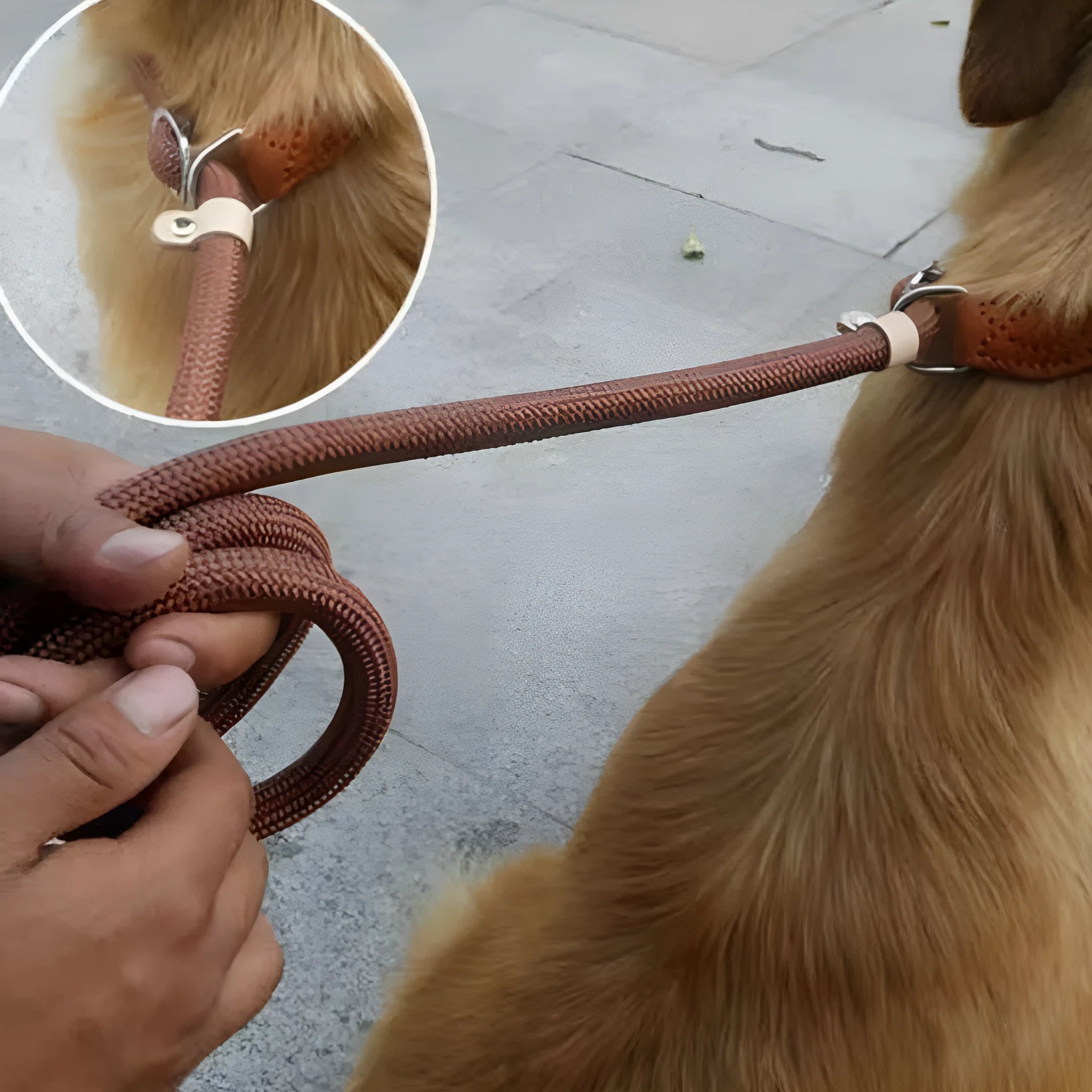 Brown nylon P chain dog leash with 2.1 metre length showing thickness variation