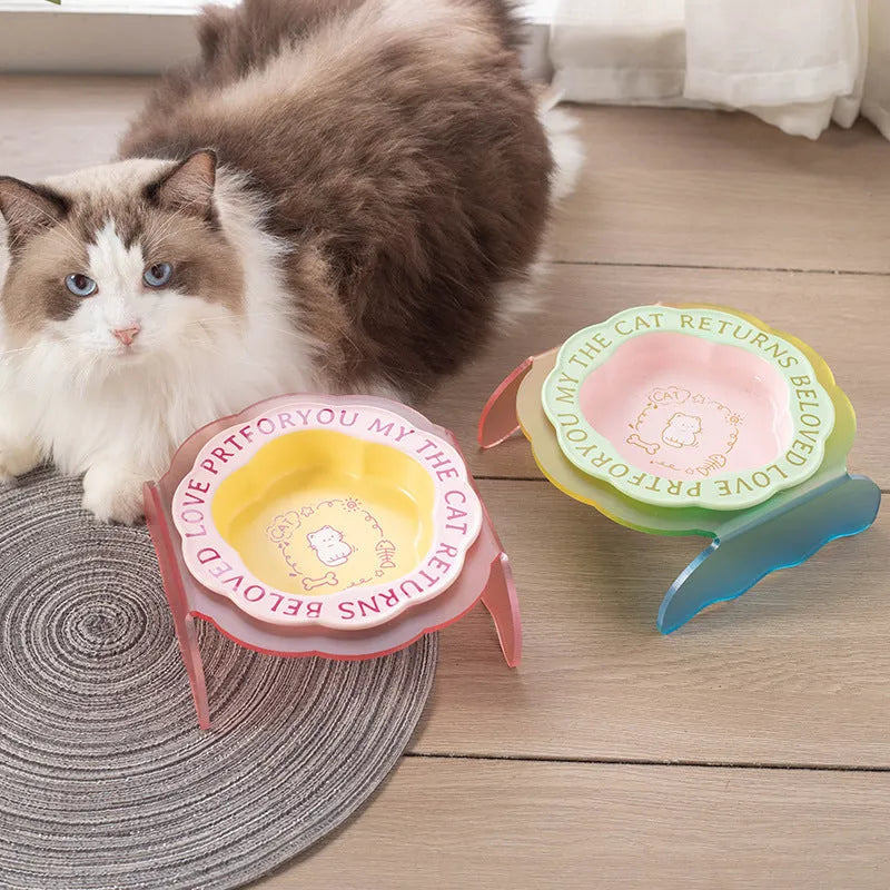 Ceramic cat bowl with anti-tumble acrylic lace in pink and blue colour option