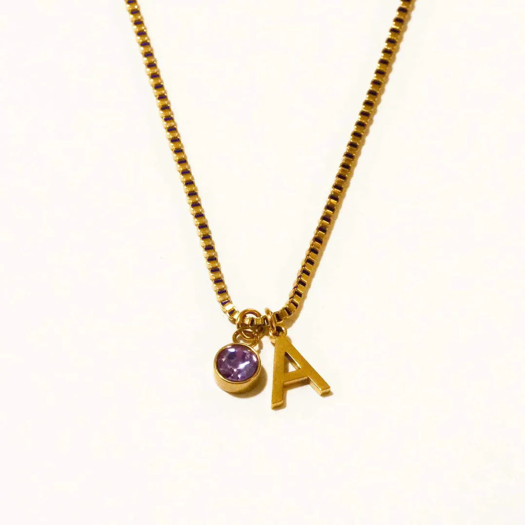 Stainless Steel Birthstone First Letter Necklace Personalised Gold or Silver Initial Pendant with O-Ring Chain and Electroplated Finish for Monthly Birthstone Customisation Jewellery Gift Options A B C D