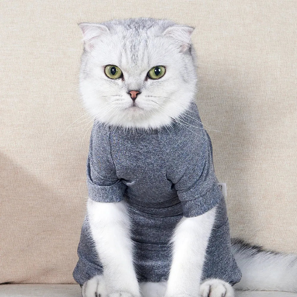 Cat neutering suit in blending gray polyester fabric for post-surgery recovery, with size options from XS to L