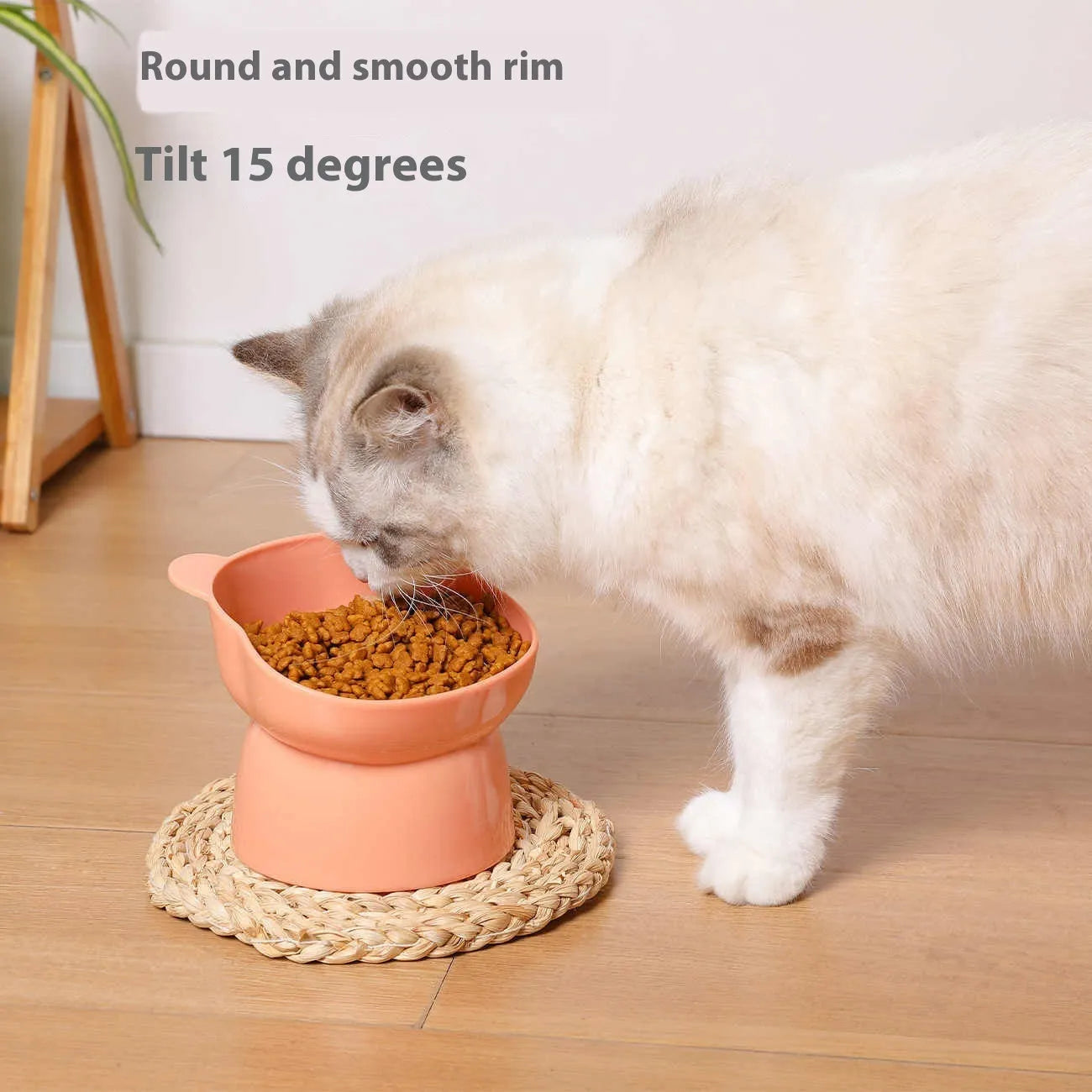 Oblique high foot anti-tumble PP plastic pet bowl for cats and dogs in four colours