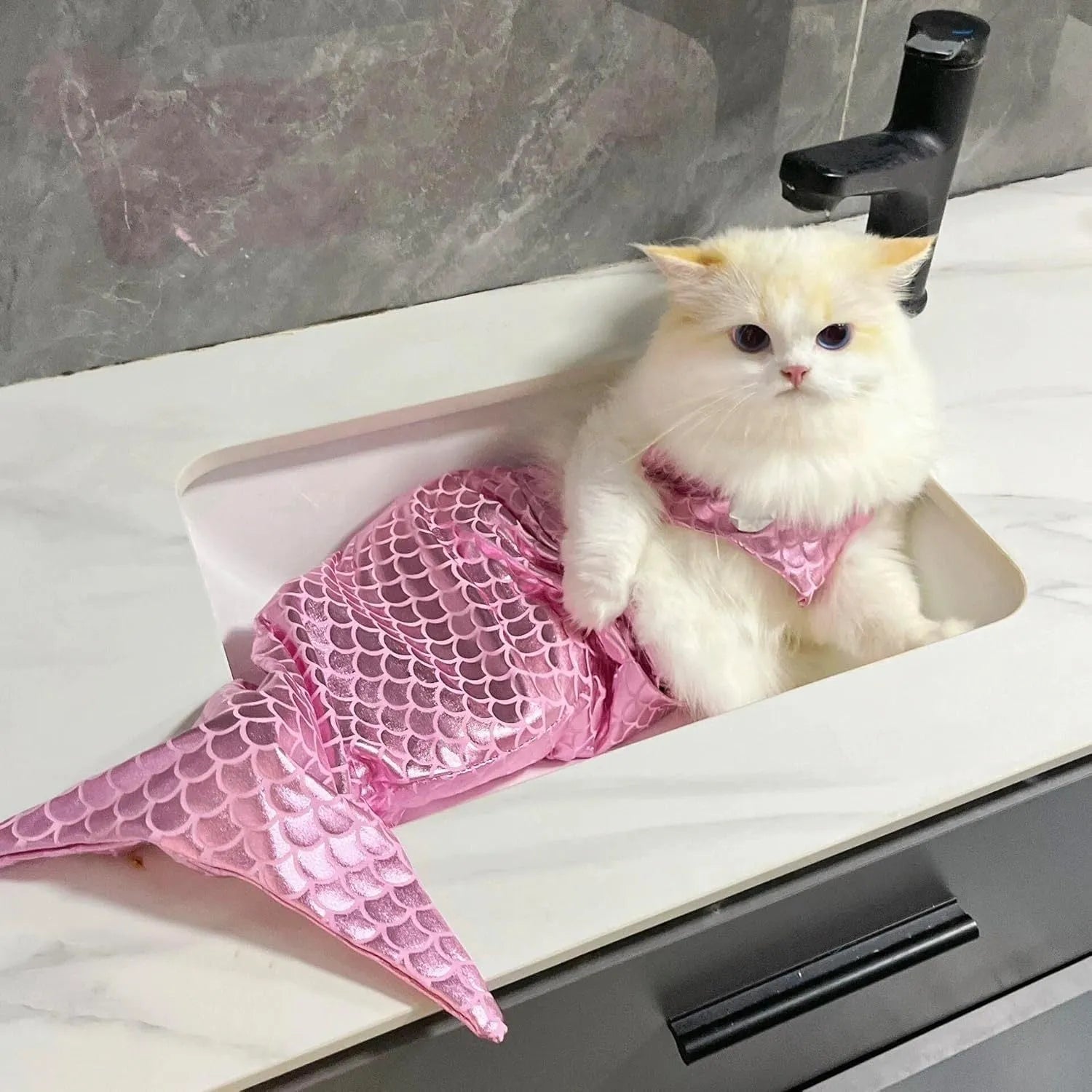 Blue or pink mermaid costume with scaly tail and bow on a small cat or dog