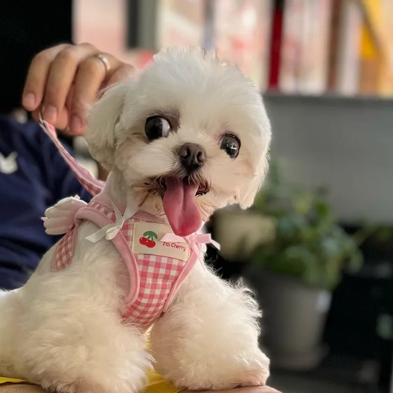 Small dog wearing pink cotton chest and back harness with integrated lead rope