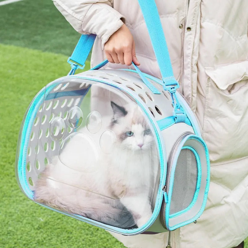 Transparent EVA hard-shell cat backpack carrier in large 42cm size showing space capsule design