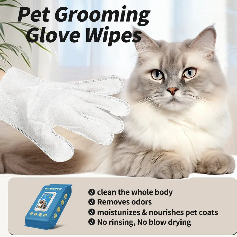 Disposable plastic gloves for pet cleaning in pack of 20 pieces