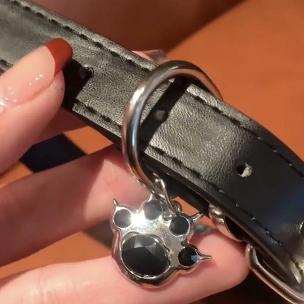 Black adjustable dog collar showing LD leather, bone, and cat paw design options