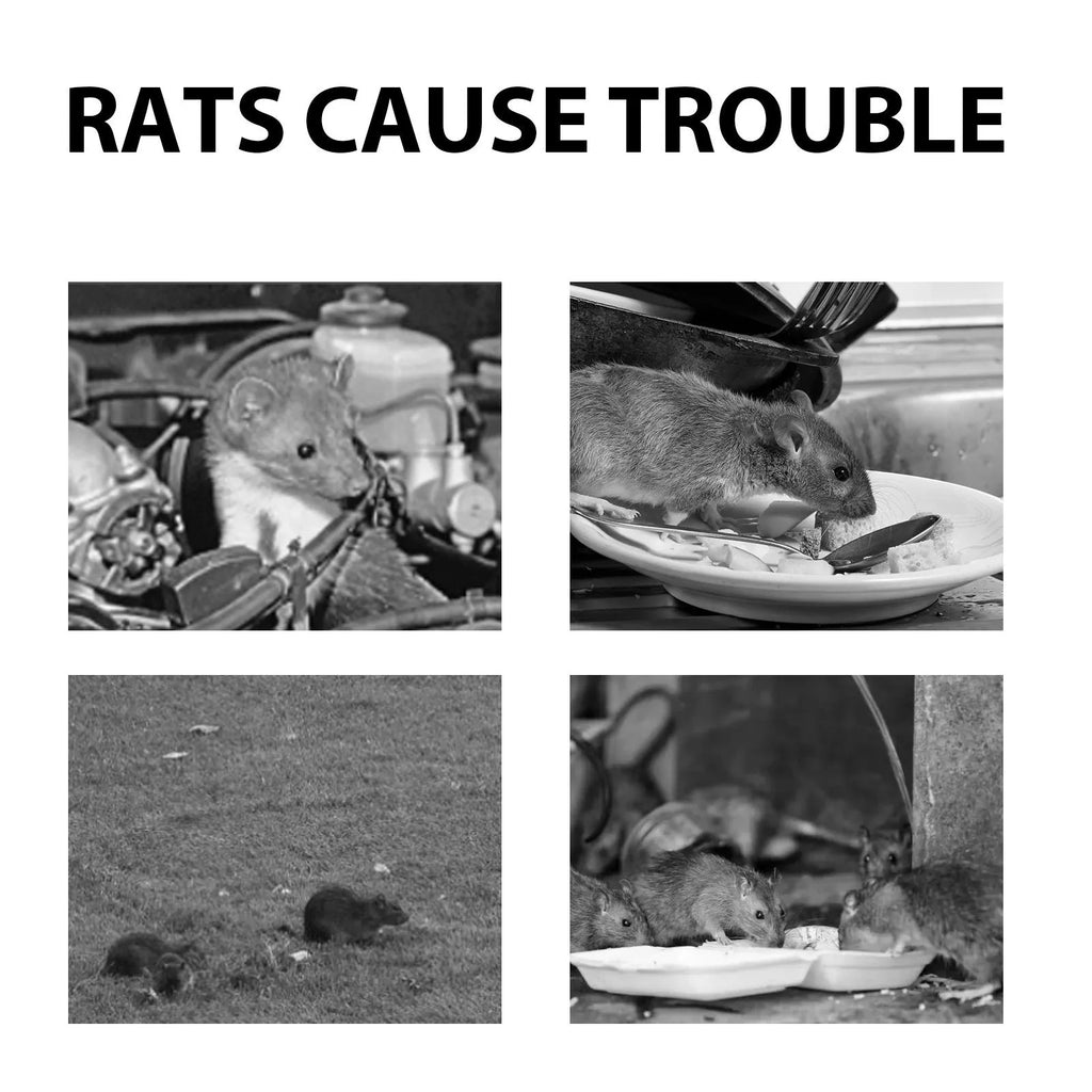 60ml bottle of natural rat repellent spray with clove, peppermint, camphor, and chilli oils.