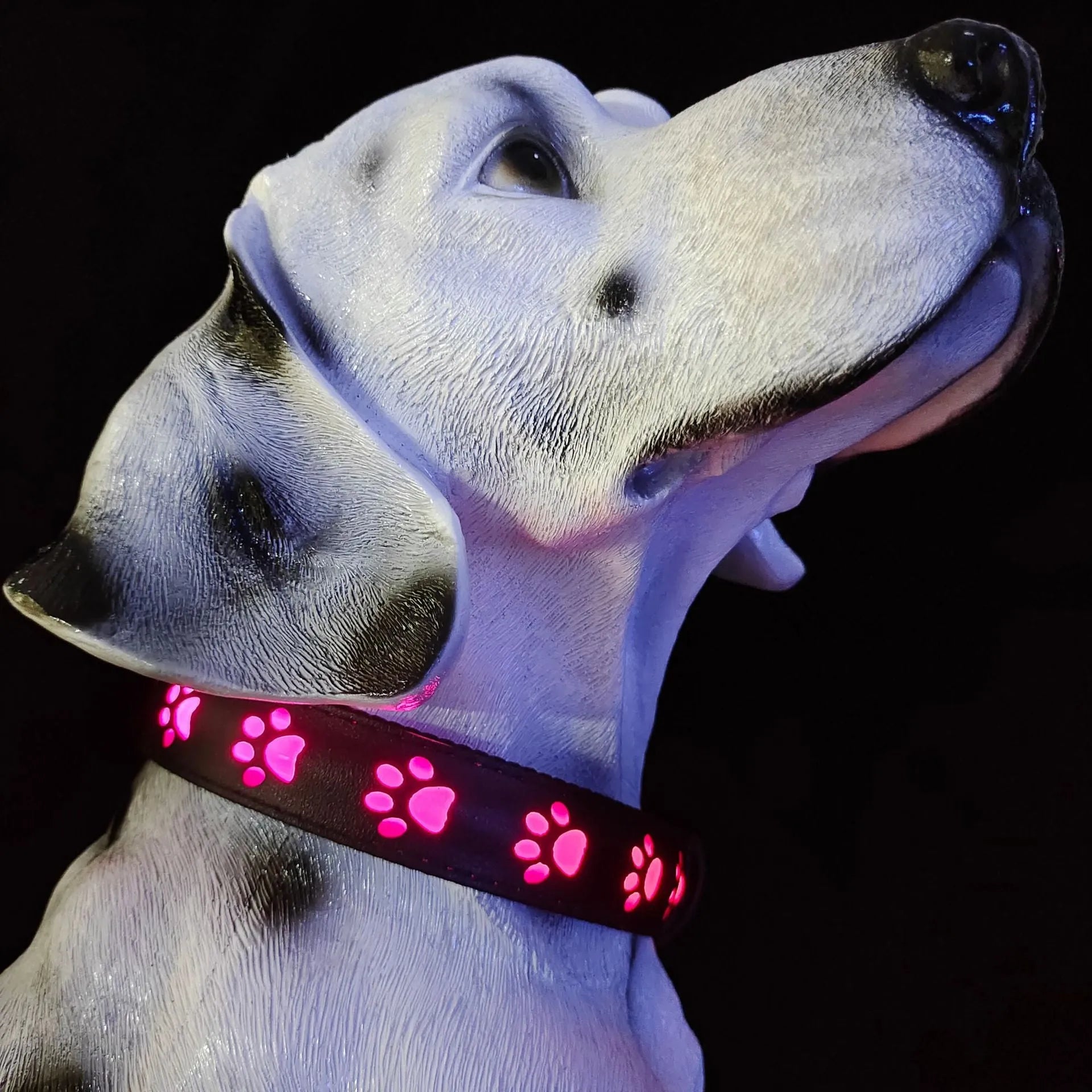 LED luminous dog collar with 7 colour modes and USB charging port