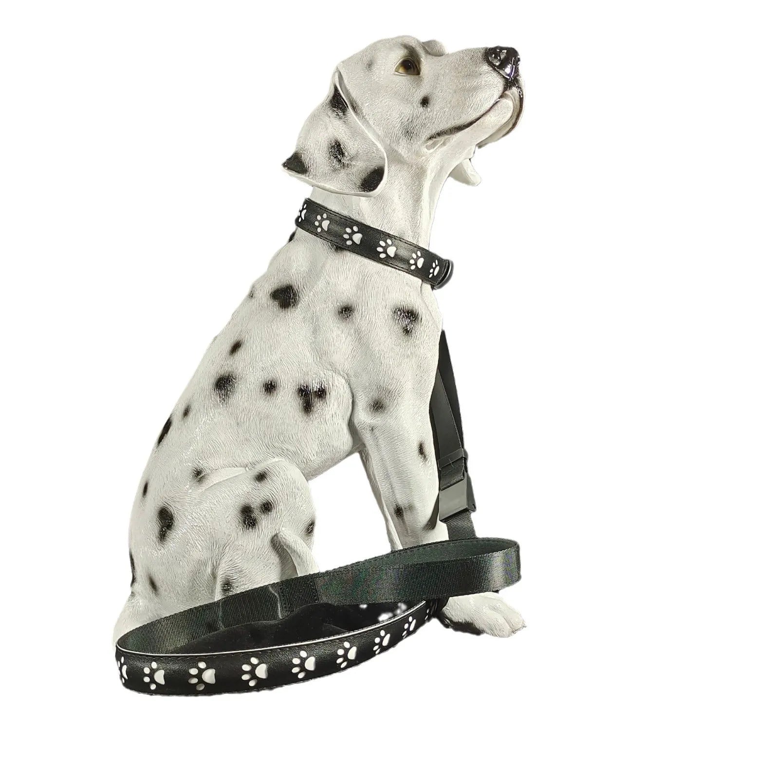 LED luminous dog collar with 7 colour modes and USB charging port