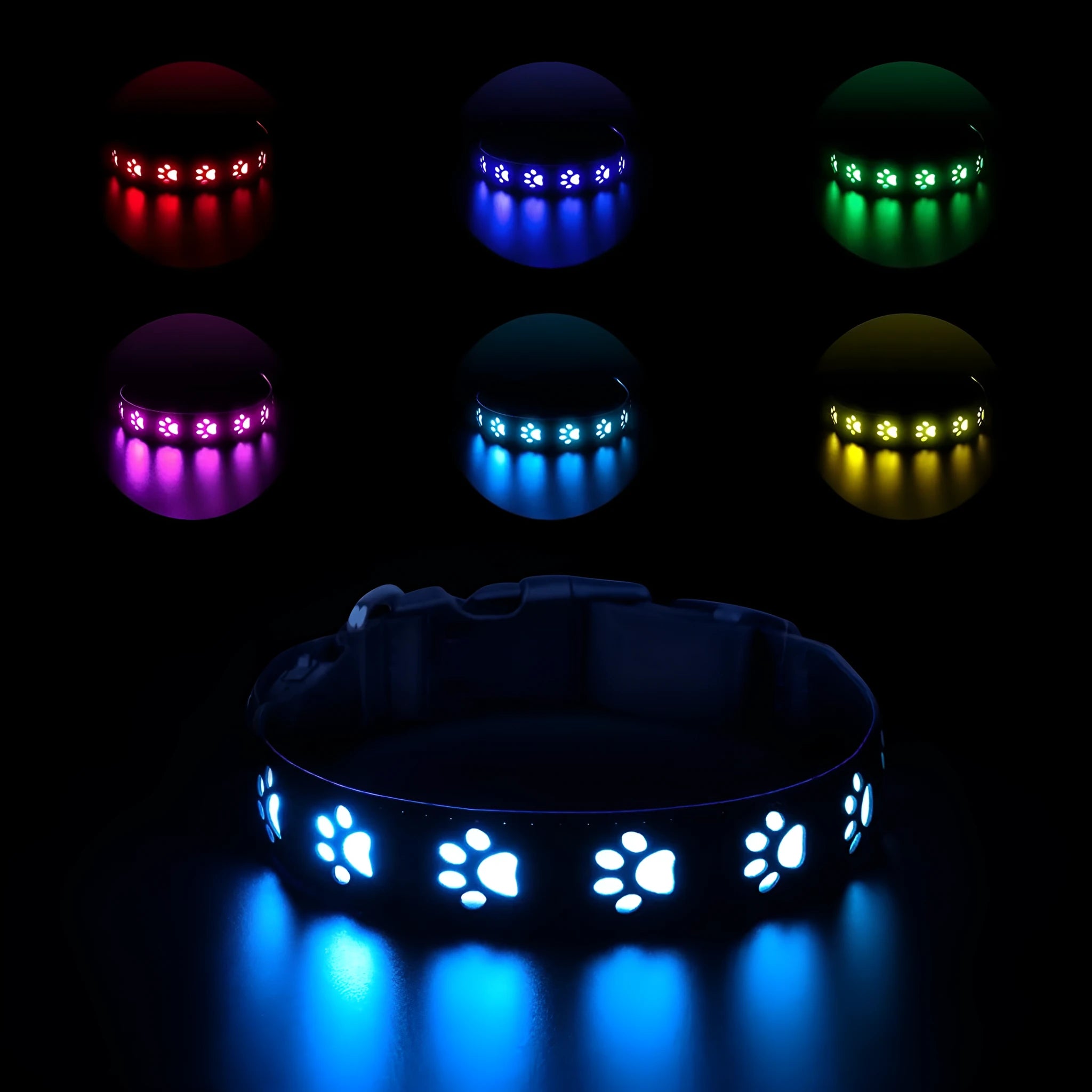 LED luminous dog collar with 7 colour modes and USB charging port