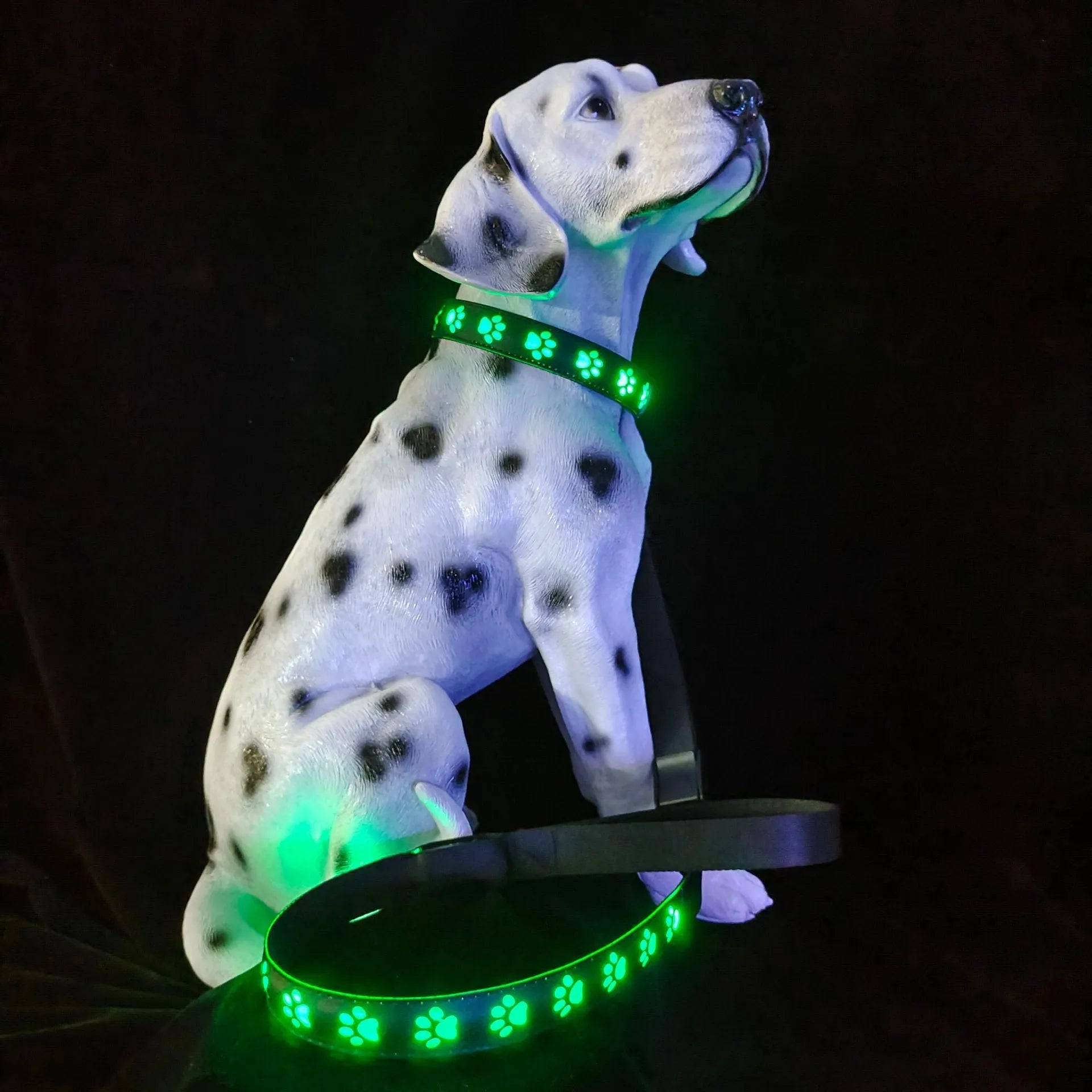LED luminous dog collar with 7 colour modes and USB charging port