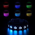 LED luminous dog collar with 7 colour modes and USB charging port