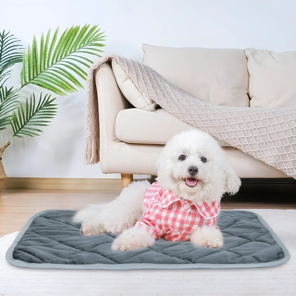 Grey soft fabric multi-layer pet cushion for dogs and cats, shown with size options.