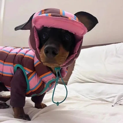 Dirty pink striped knitted vest and matching hat for a small dog on a grey background.