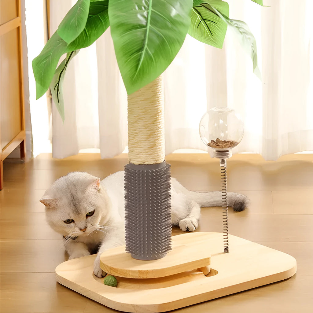 Wooden vertical cat scratching post with canna colour finish and food drop ball toy
