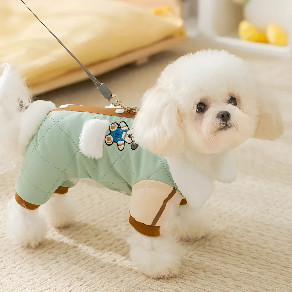 Warm thick Maillard four-legged cotton pet coat for small dogs and cats in green