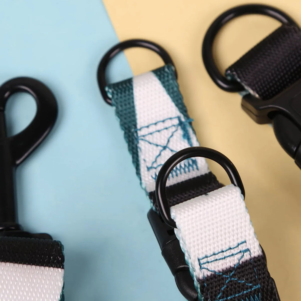 Hand holding rope outing dog leash three-piece set in polyester with collar and harness