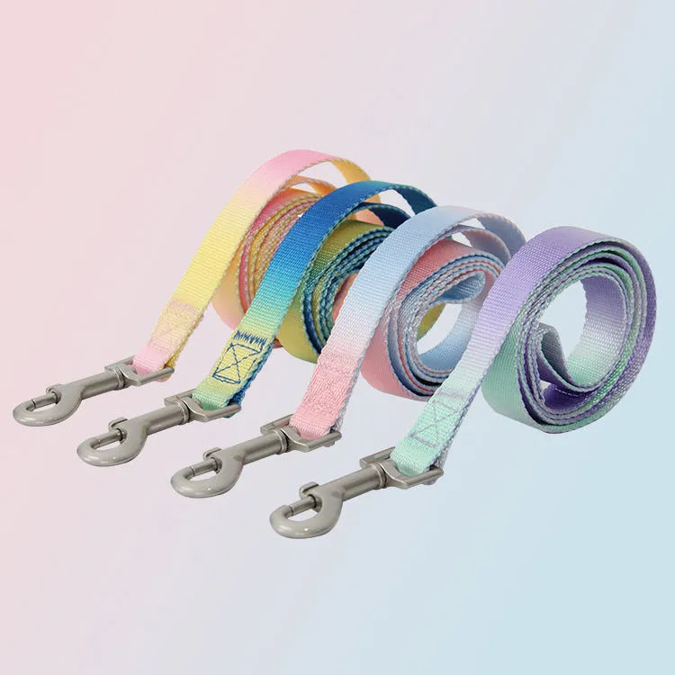 Nylon dog leash set showing gradient colour options including pink/blue, pink/yellow patterns