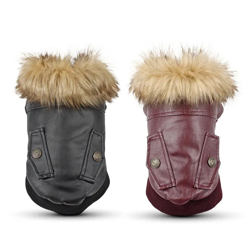 Leather dog coat with fur collar in British style, shown in black and wine red colour options