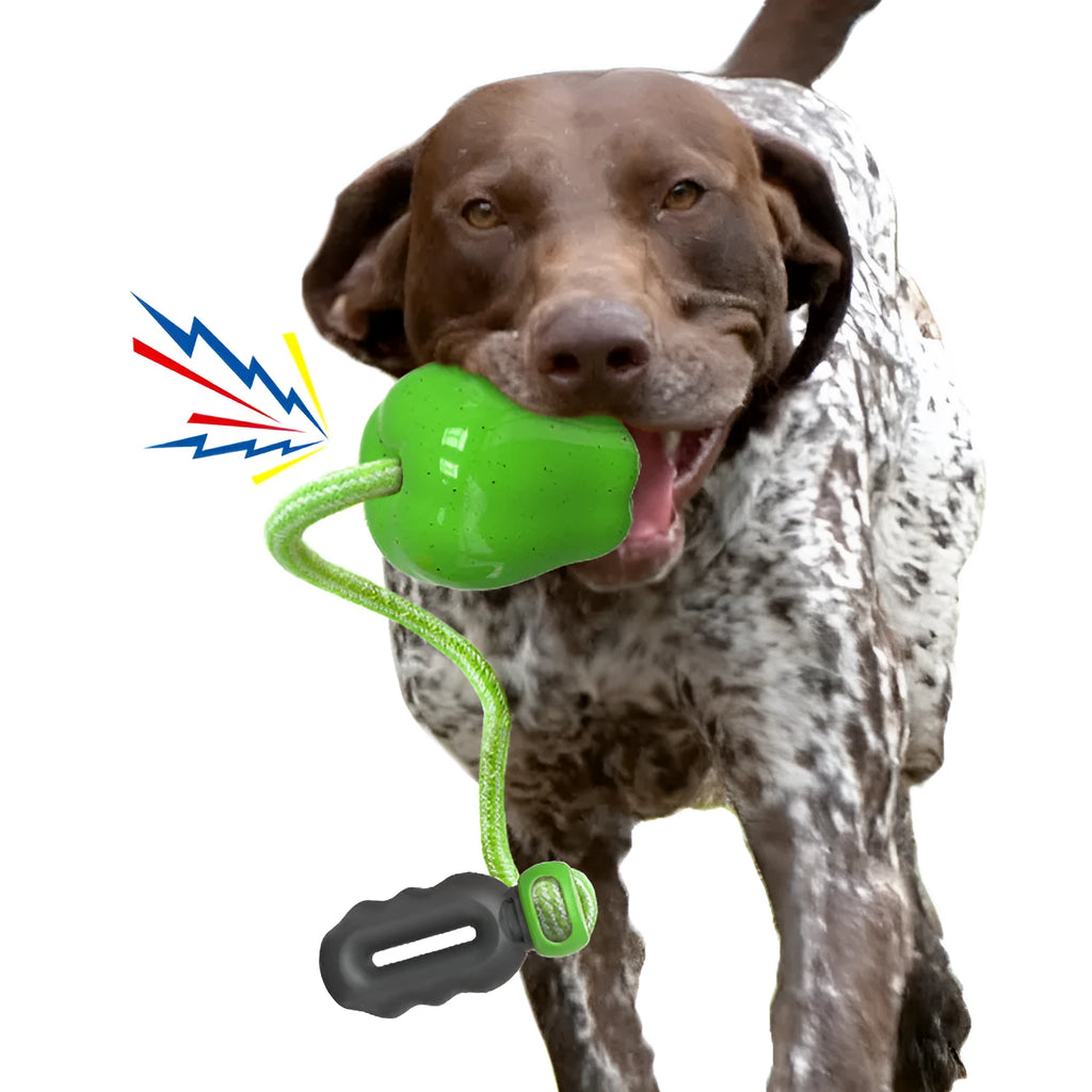 Green plastic apple-shaped dog toy with food dispensing openings for interactive feeding games
